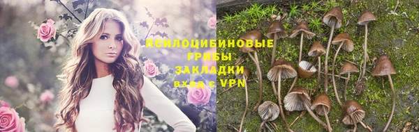 круглые Ладушкин