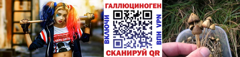 Псилоцибиновые грибы Magic Shrooms  Купить  Элиста