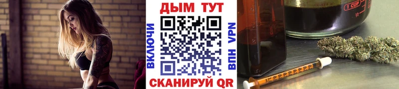 Купить закладки  Элиста  Канабис сатива 